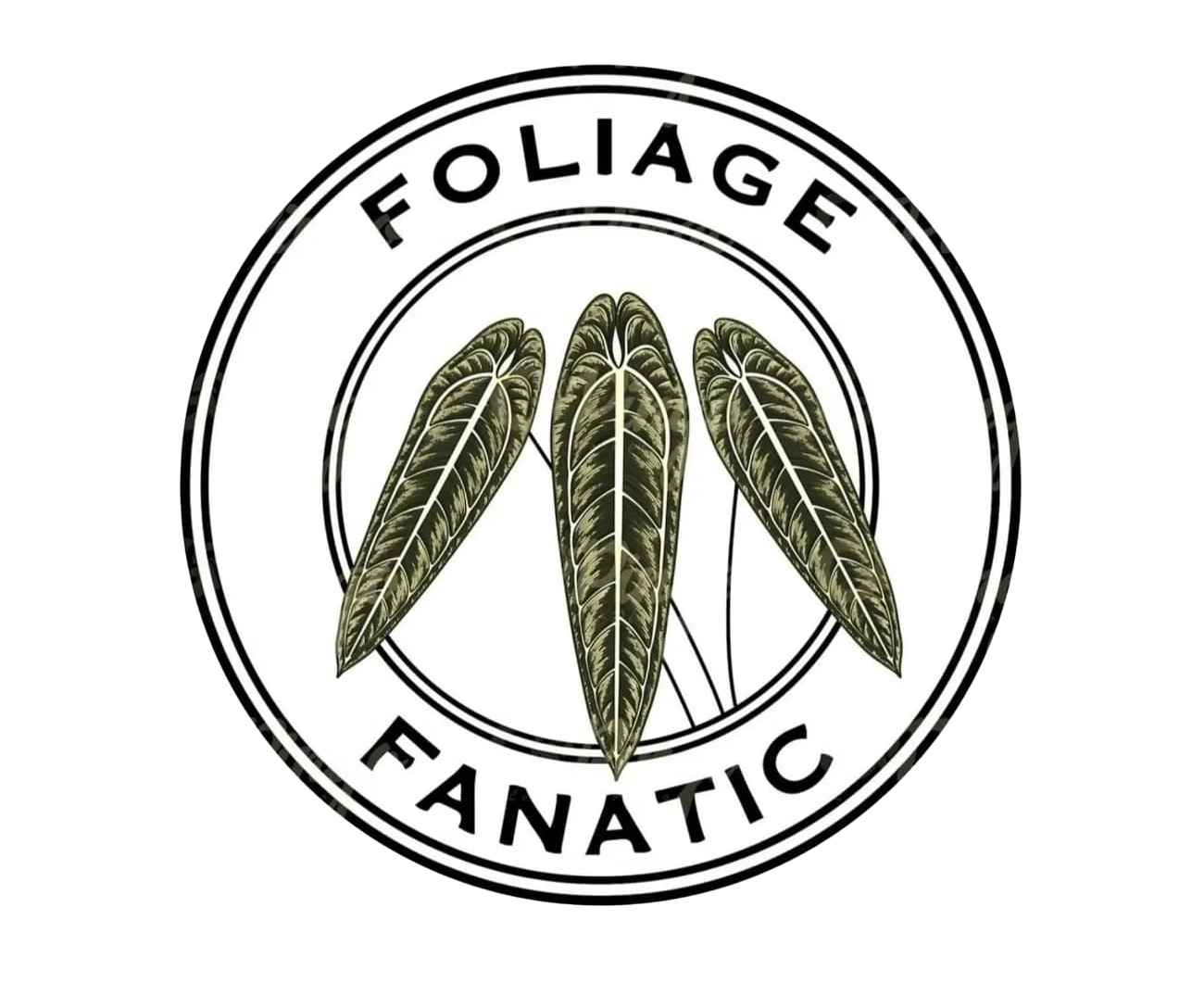 Foliage fanatic company logo